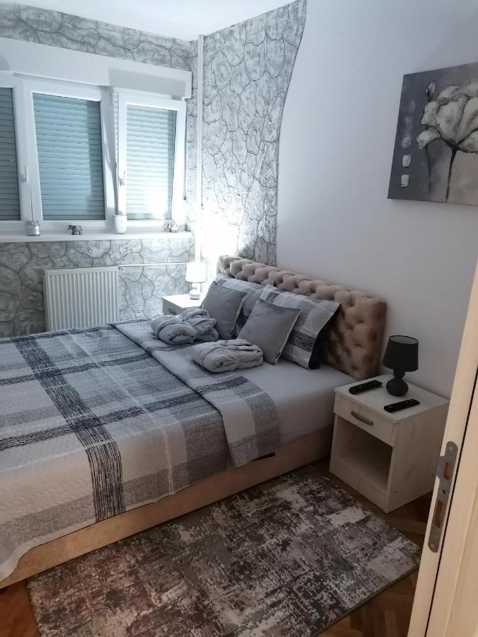 Apartament Vemiur Čačak Zewnętrze zdjęcie
